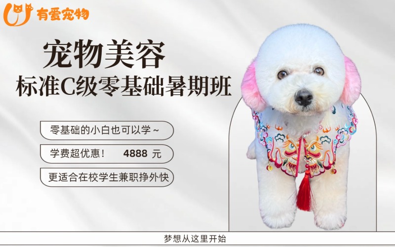 鄭州寵物美容標準C級零基礎暑期班