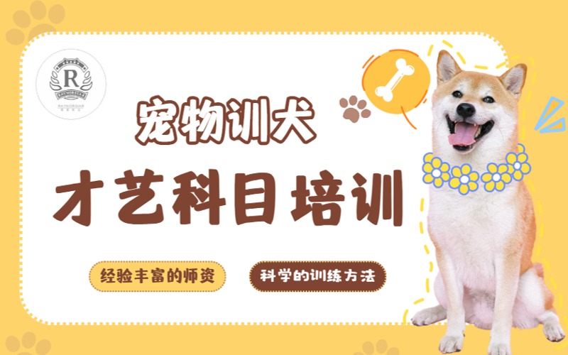 深圳寵物培訓師訓犬才藝科目培訓