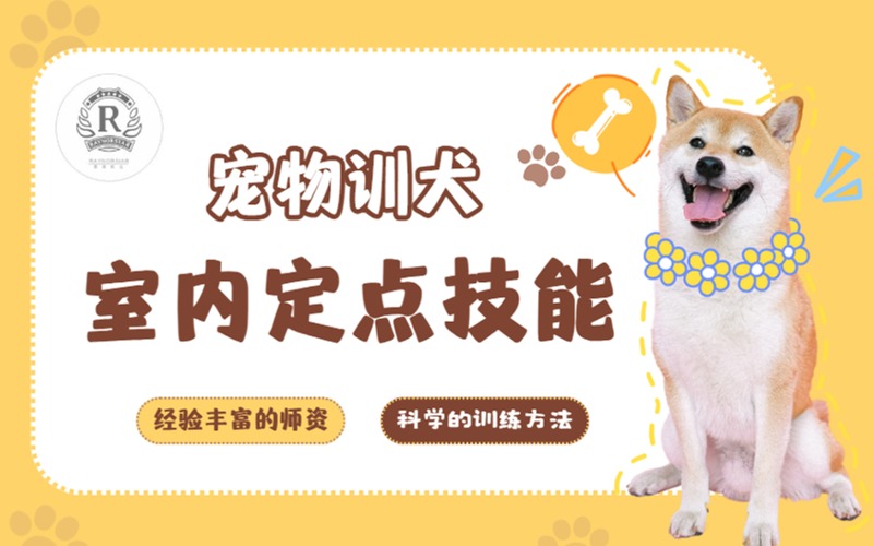 深圳寵物訓犬室內定點技能培訓師班