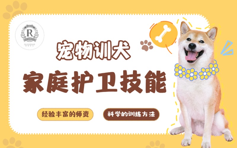 深圳寵物訓犬家庭護衛(wèi)技能培訓課程