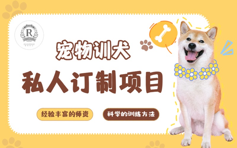 深圳寵物訓犬私人訂制項目