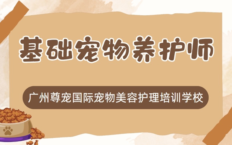 广州基础宠物养护师课程