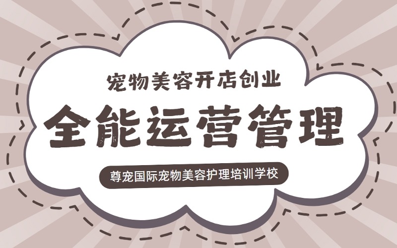 广州宠物美容开店创业全能运营管理课程