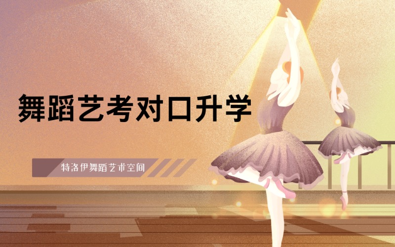 合肥舞蹈藝考對口升學培訓班