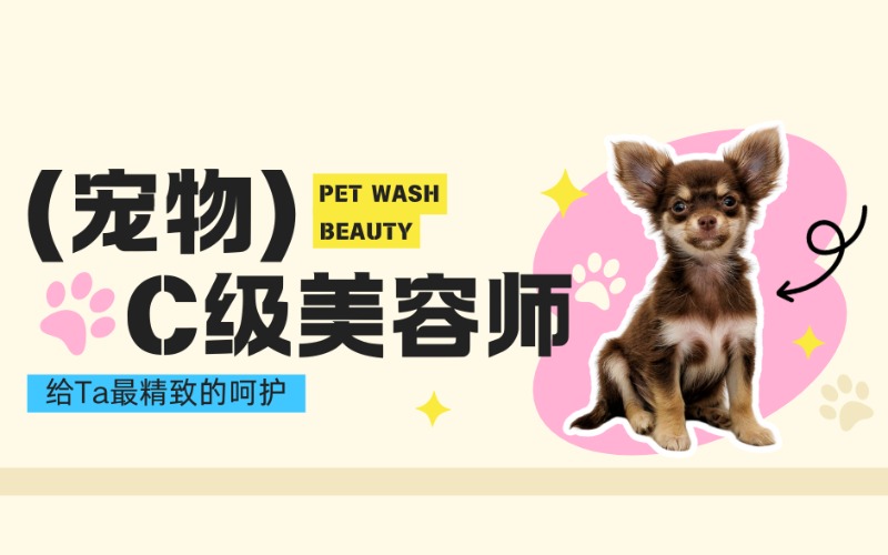 广州C级宠物美容师精英进阶班
