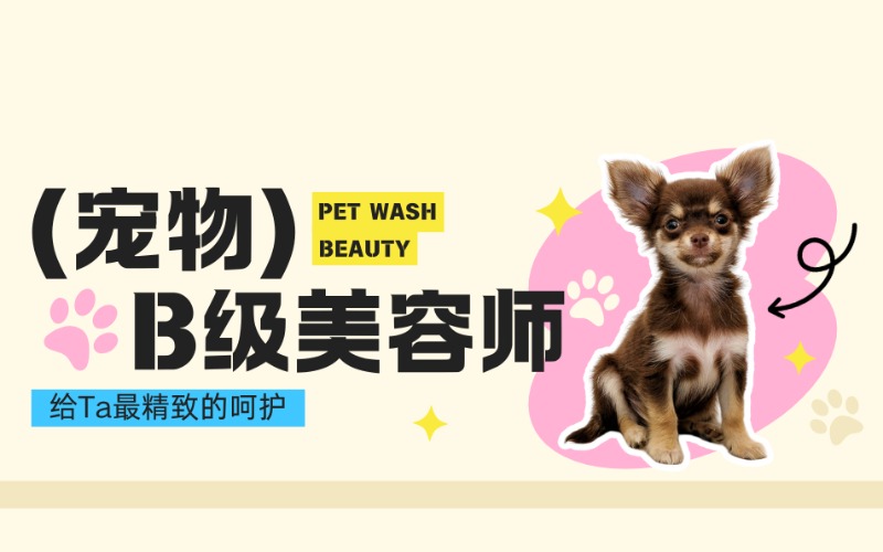 廣州B級寵物美容師門店創(chuàng)業(yè)班