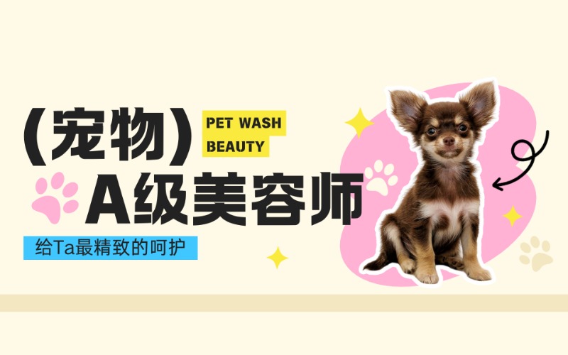 广州A级宠物美容师赛级大师班