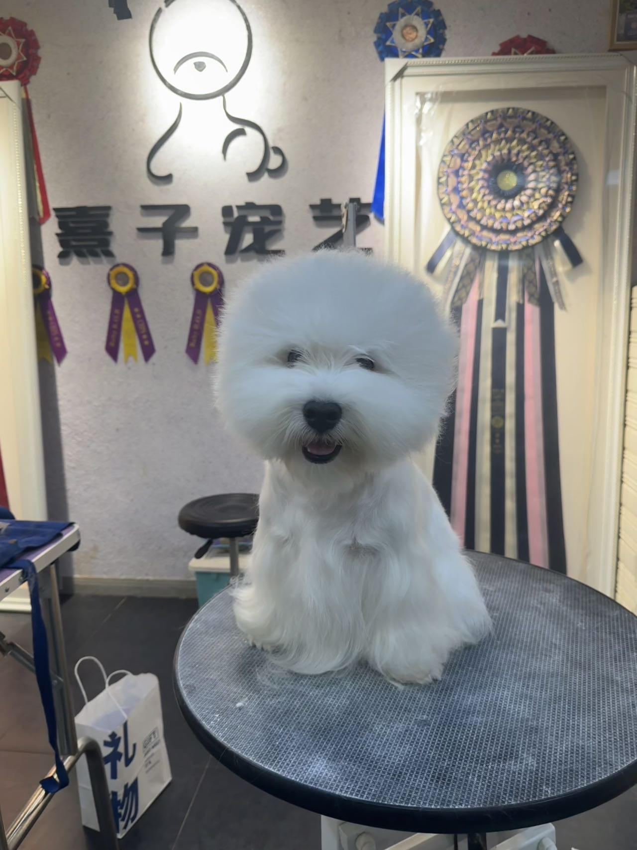 环境/教学