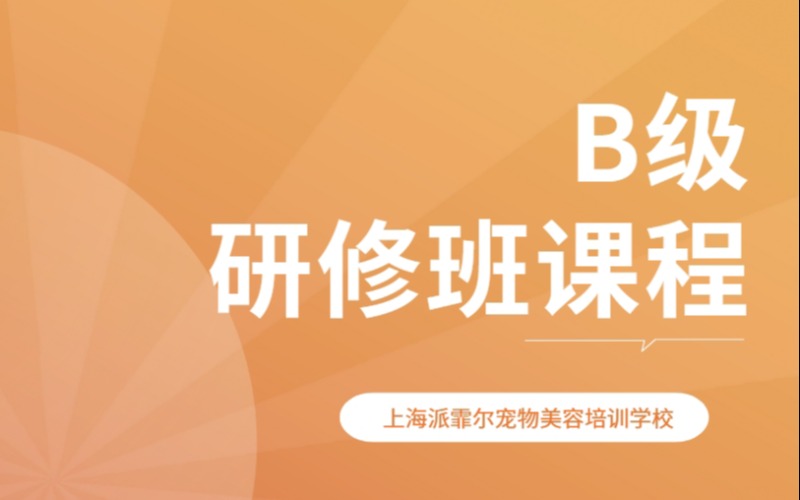 上海宠物美容B级研修班课程