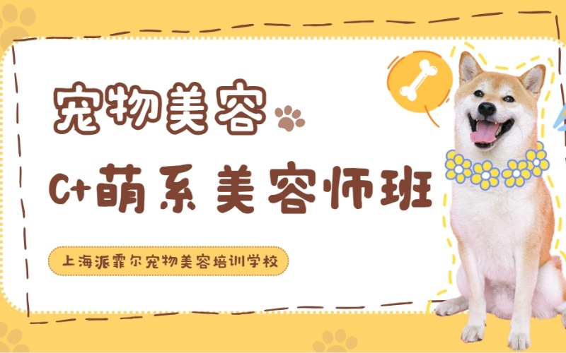 上海宠物美容C+萌系美容师班