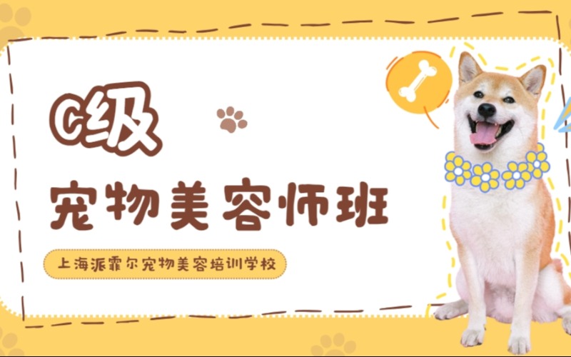 上海宠物美容C级宠物美容师班
