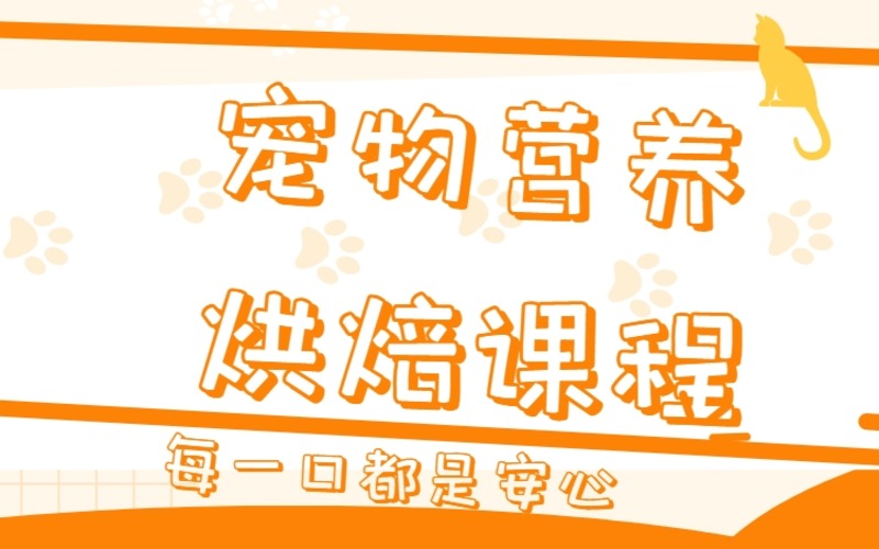 上海宠物营养烘焙课程