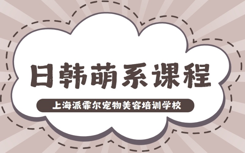 上海宠物美容日韩萌系课程