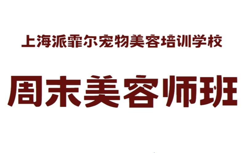 上海宠物美容周末美容师班
