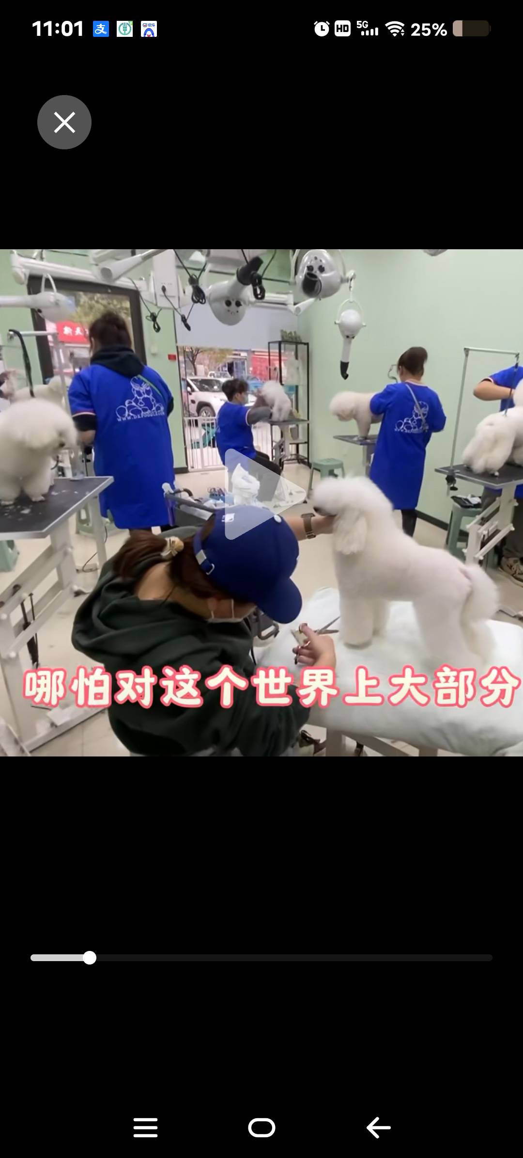 环境/教学