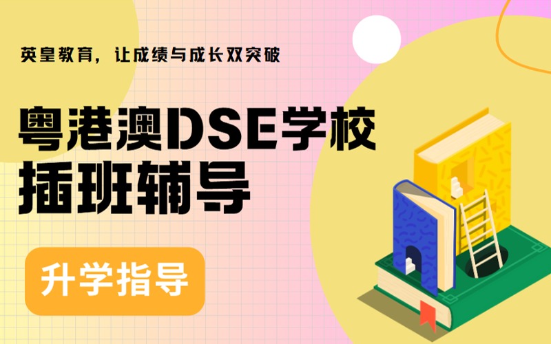 粤港澳DSE学校插班辅导课