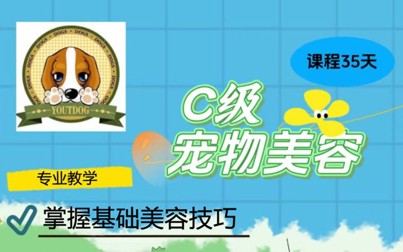 北京宠物美容C级专业培训速成班