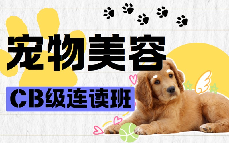 北京宠物美容师CB级连读班