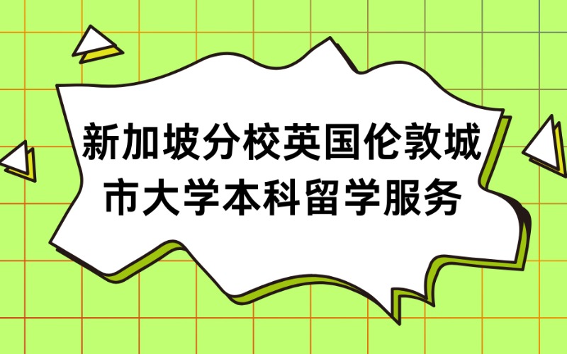 北京新加坡分校英国伦敦城市大学本科留学服务