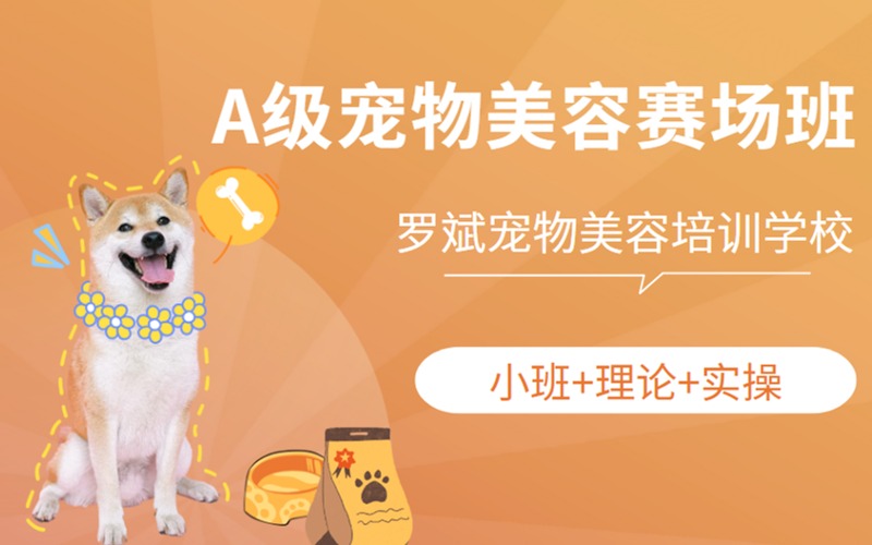 武漢A級寵物美容賽場班