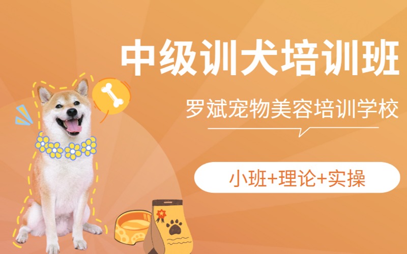 武汉中级训犬培训课程