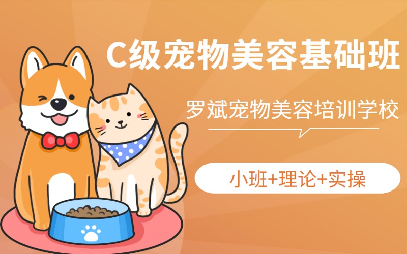武漢C級(jí)寵物美容基礎(chǔ)班