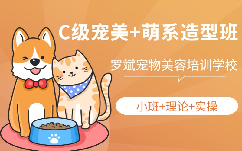武漢C級(jí)寵物美容+萌系造型培訓(xùn)班