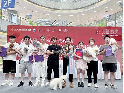 羅斌寵物美容培訓學校學子風采，學員用技能書寫輝煌篇章