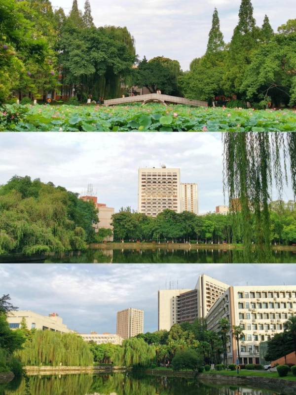 環境/教學