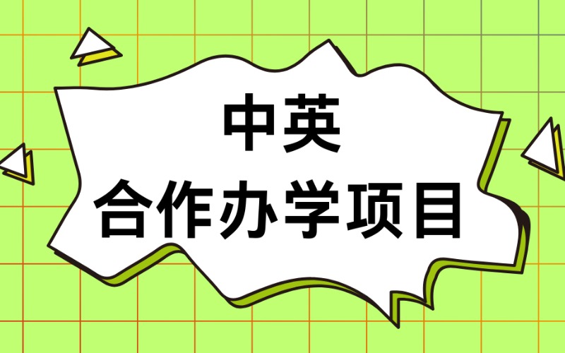 中英合作辦學升學指導項目