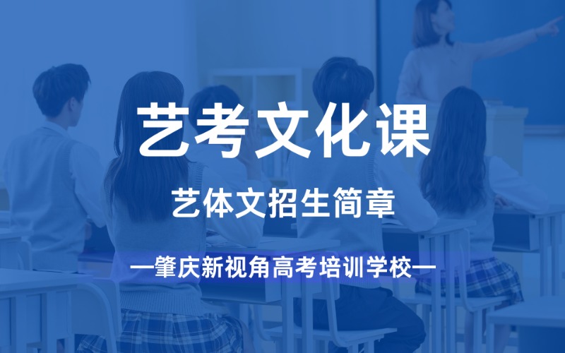 肇慶藝考文化課招生計劃
