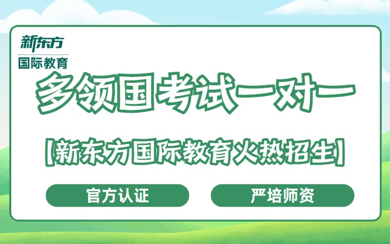 多领国考试一对一专项辅导班