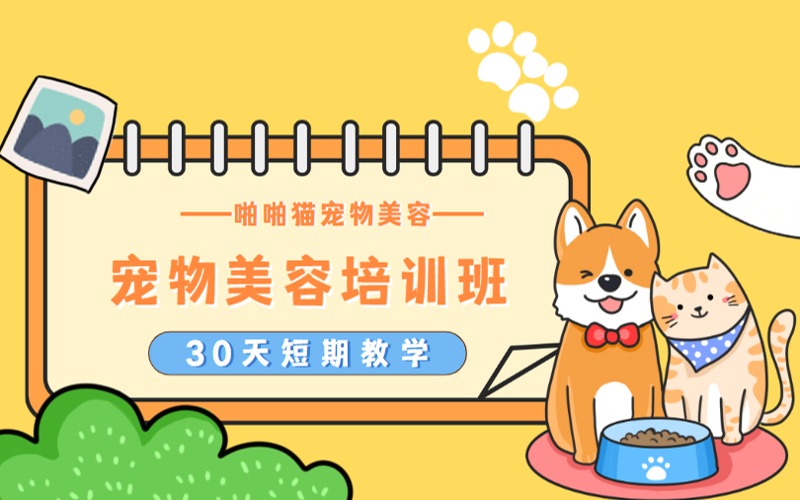 上海寵物美容基礎培訓班