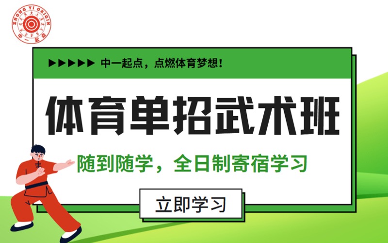 北京体育单招武术技巧培训班