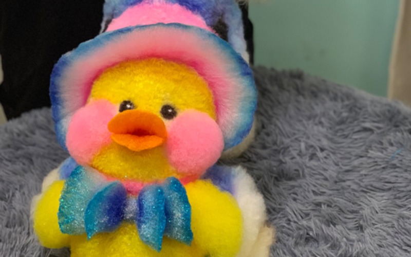 南昌宠物美容染色专业培训班