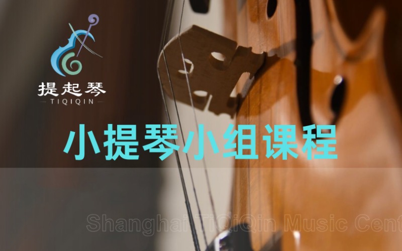 上海专业弦乐小提琴小组课程班