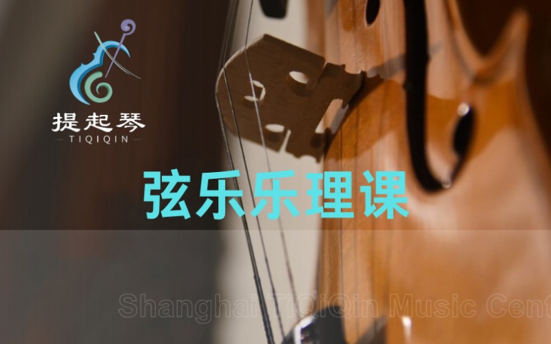 上海专业弦乐乐理课程培训班