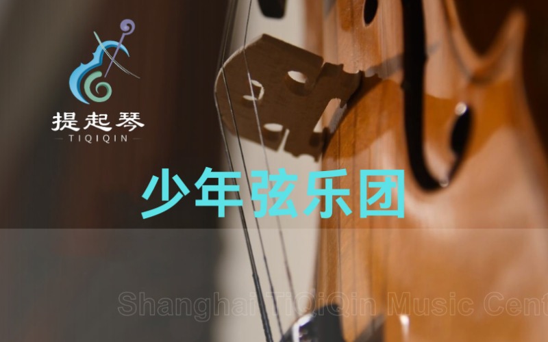 上海少年弦乐团专业培训班