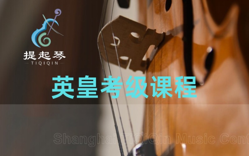 上海专业弦乐英皇考级课程培训
