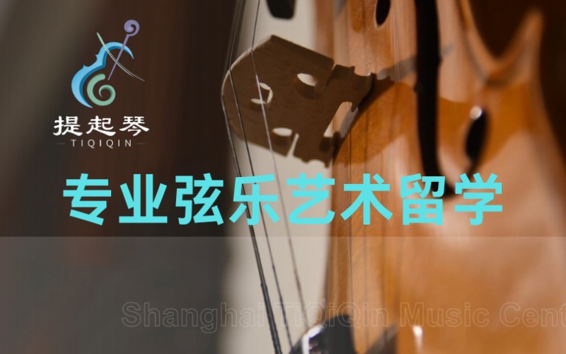 上海专业弦乐艺术留学班