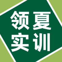 武汉知夏教育领夏实训