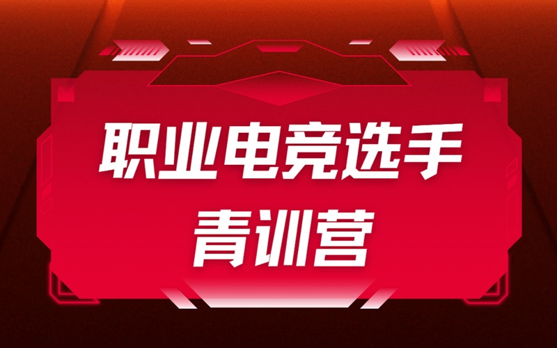 石家庄职业电竞选手青训营