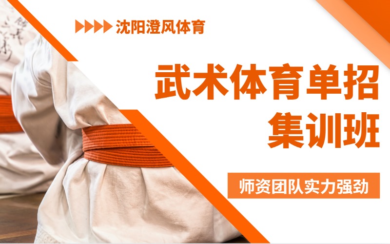 沈阳武术体育单招集训班