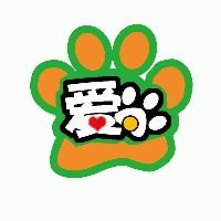 哈尔滨市爱尚宠物美容师&牵犬师培训学校