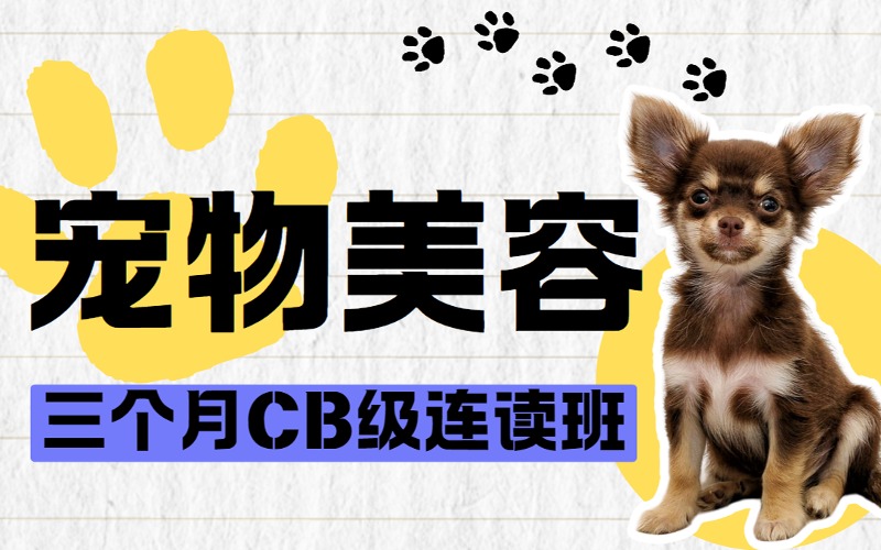 哈尔滨宠物美容师C级+B级3个月零基础专业培训班