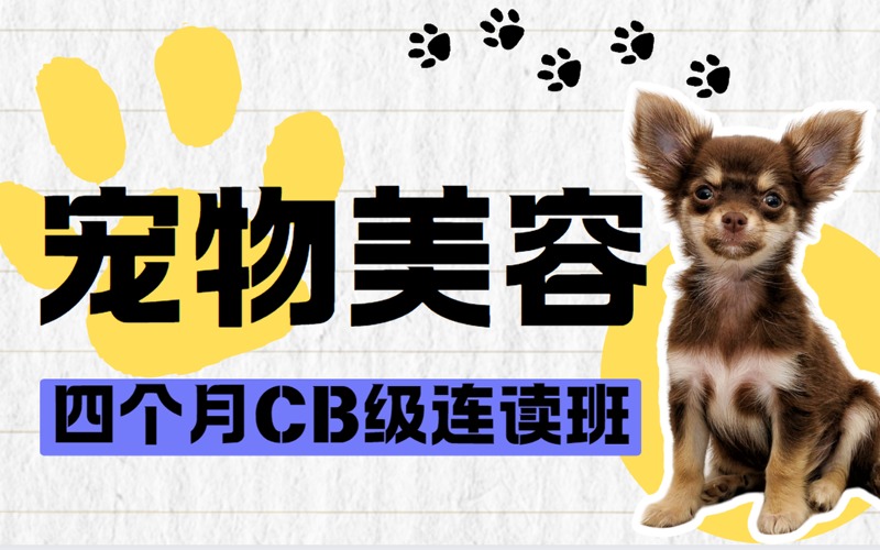 哈尔滨宠物美容师CB级连读4个月专业提升培训课程
