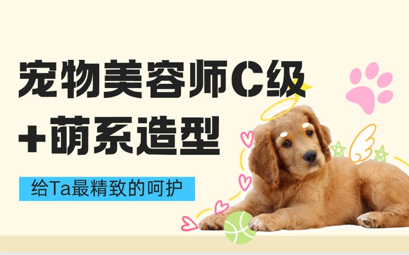 哈尔滨宠物美容师C级基础+萌系造型专修班