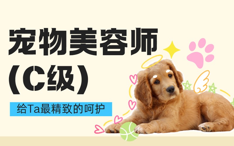 哈尔滨宠物美容师C级商业基础培训班