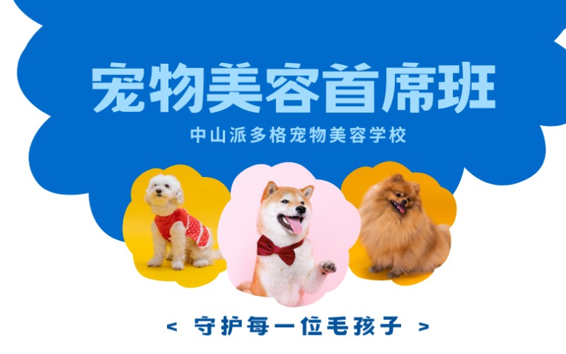 宠物美容首席班培训项目