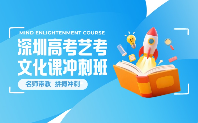 深圳高考艺考文化课冲刺班